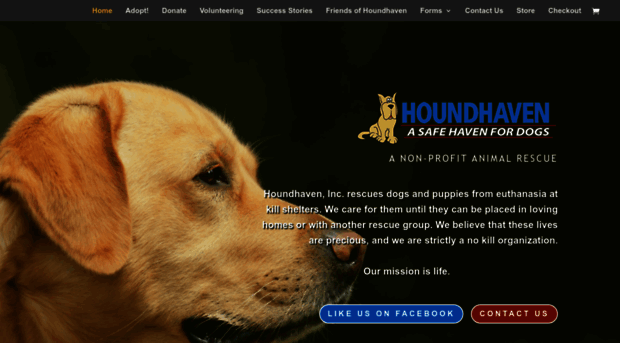 houndhaven.org