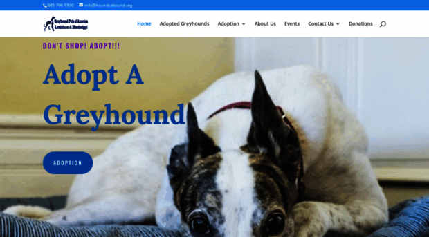 houndsabound.org