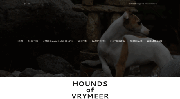 houndsofvrymeer.com