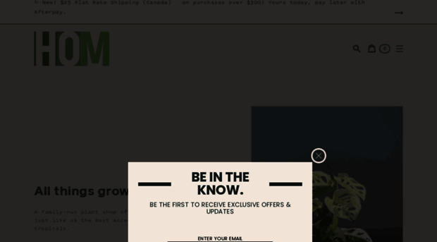 houseofmonstera.com