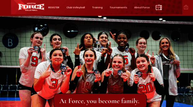 houstonforcevb.com