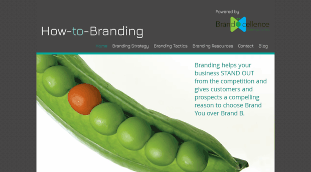 how-to-branding.com