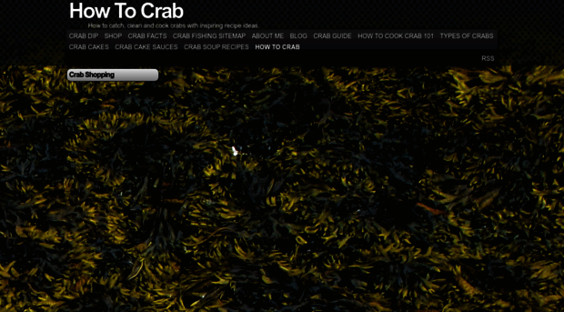 how-to-crab.com