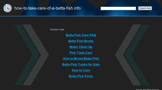 how-to-take-care-of-a-betta-fish.info