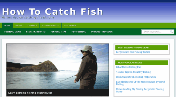 howtocatchfish.net