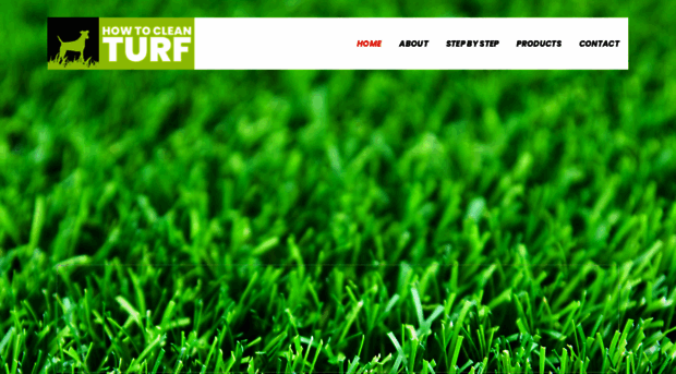 howtocleanturf.com