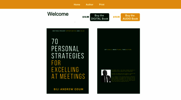 howtoexcelatmeetings.com