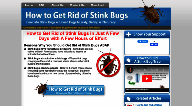 howtogetridofstinkbug.com