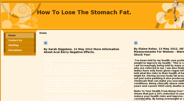 howtolosethestomachfat.info