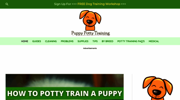 howtopottytrainapuppy.net