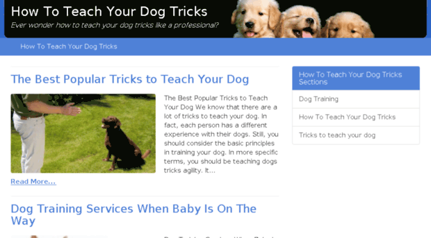 howtoteachyourdogtricks.com