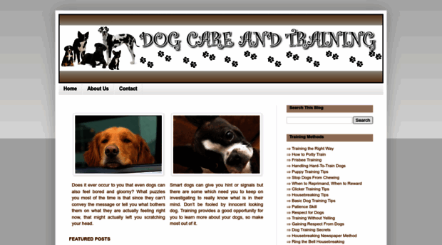 howtotraindogsonline.com