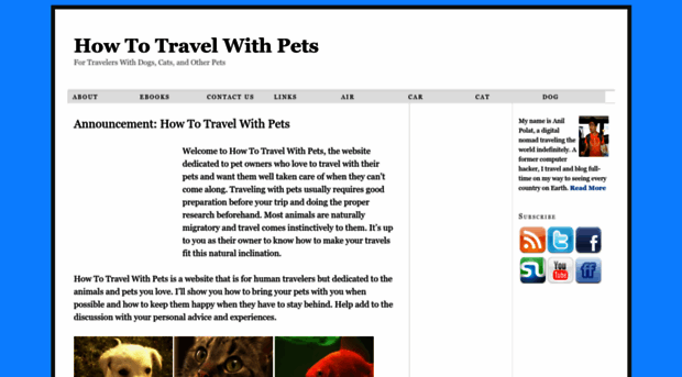 howtotravelwithpets.com