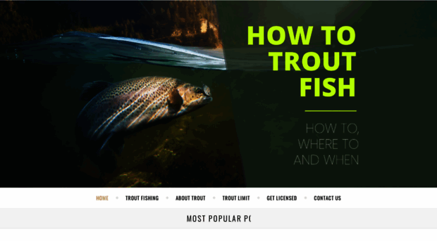 howtotroutfish.com