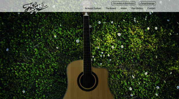 hoyerguitars.com