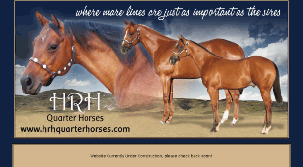 hrhquarterhorses.com