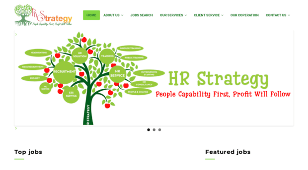 hrstrategyvn.com