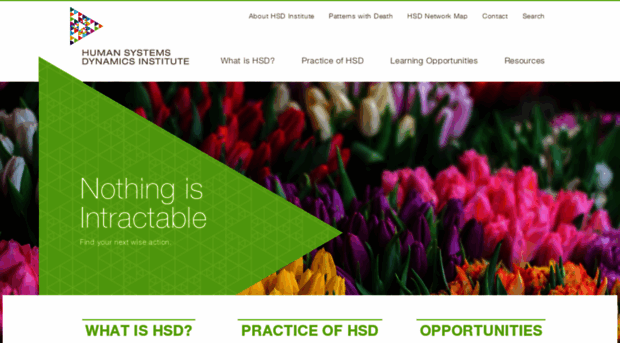 hsdinstitute.org