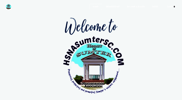 hsnasumtersc.com