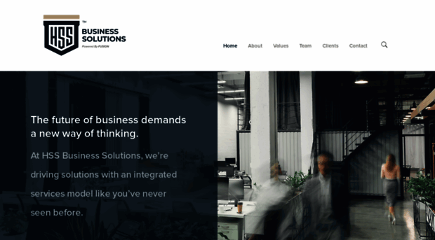 hssbiz.com