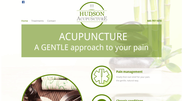 hudsonacupuncturepc.com