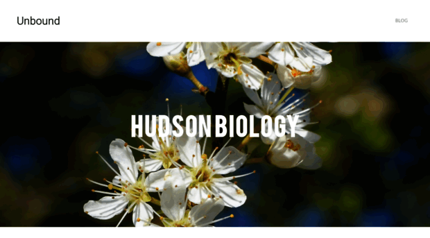 hudsonbiology.weebly.com