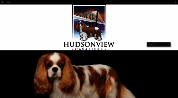 hudsonviewcavaliers.com