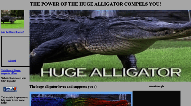 hugealligator.com