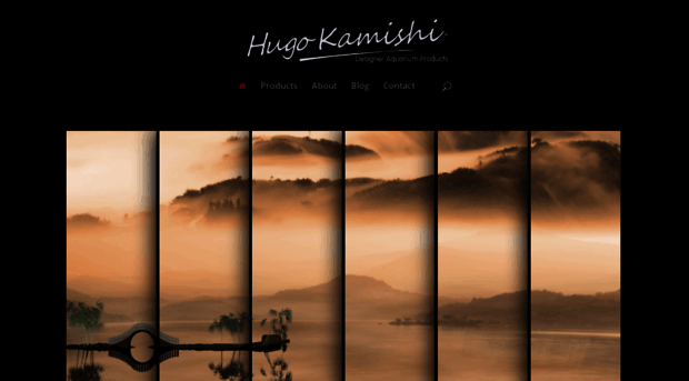 hugokamishi.com