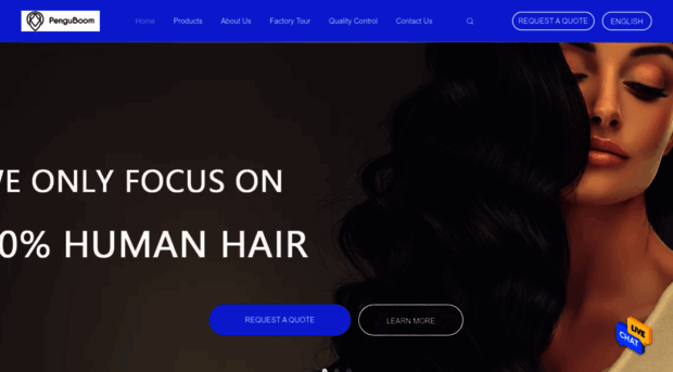 human-hairbundles.com