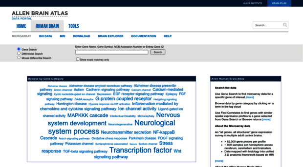 human.brain-map.org