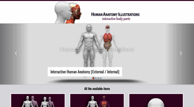 humananatomyillustrations.com