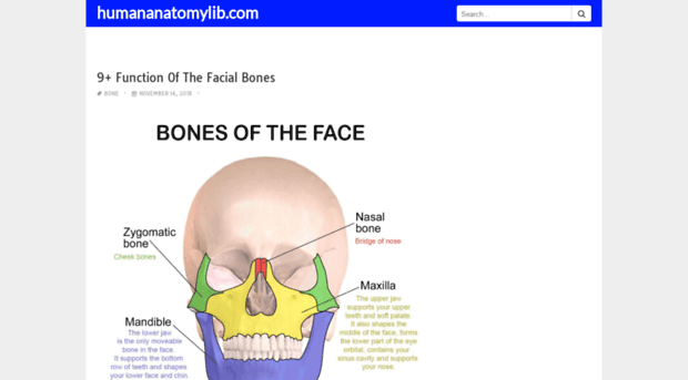 humananatomylib.com