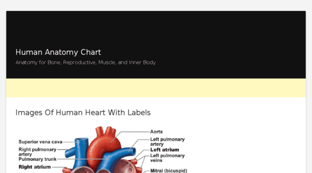 humananatomywiki.com