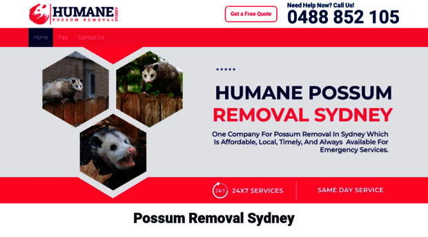 humanepossumremovalsydney.com.au