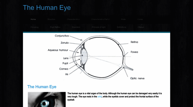 humaneyestructure.weebly.com