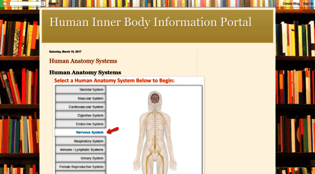 humaninnerbodyinformation.blogspot.com