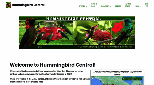 hummingbirdcentral.com