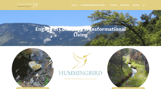 hummingbirdcommunity.org