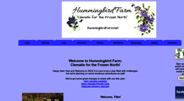 hummingbirdfarm.net