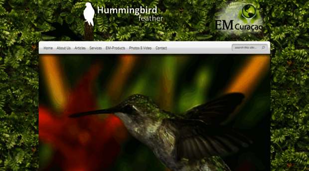 hummingbirdfeather.com