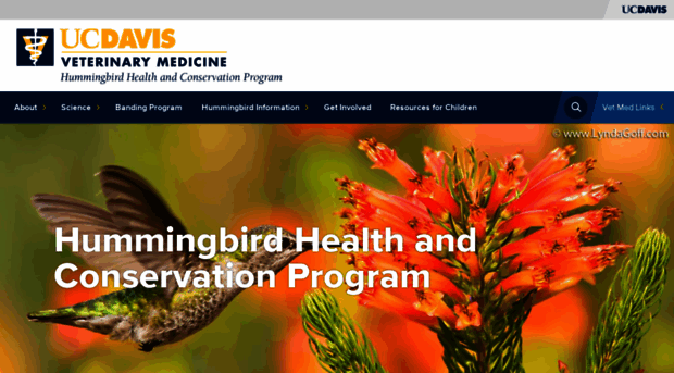 hummingbirds.vetmed.ucdavis.edu