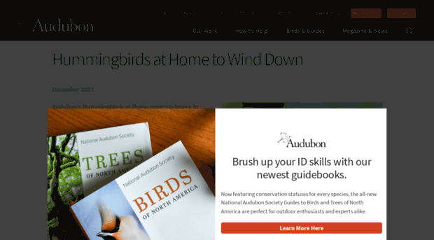 hummingbirdsathome.org