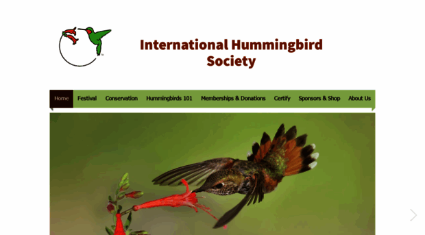 hummingbirdsociety.org