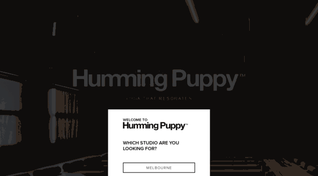 hummingpuppy.squarespace.com