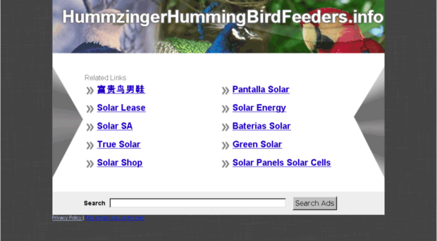 hummzingerhummingbirdfeeders.info