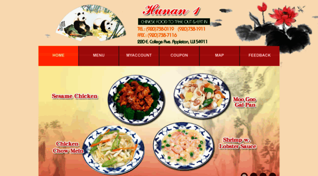 hunan1appleton.com