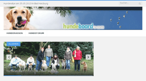 hundeboard.com