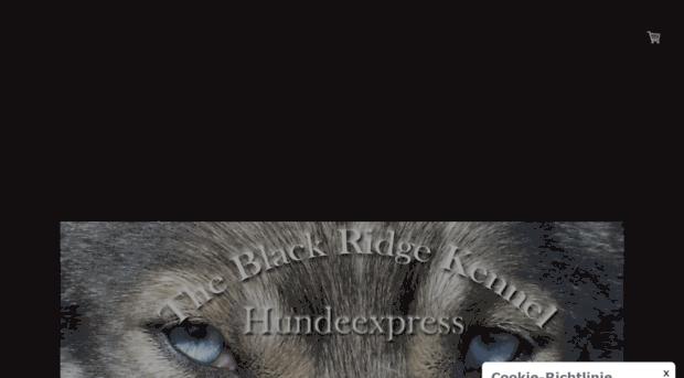 hundeexpress.de