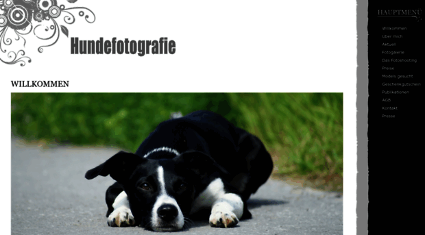 hundefotografie.ch